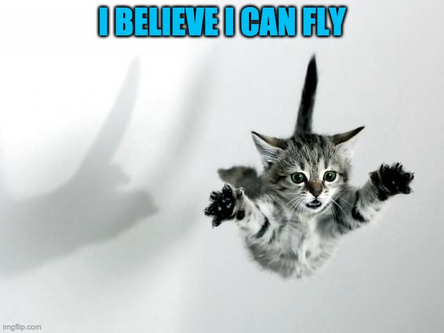 i believe i can fly... | I BELIEVE I CAN FLY | image tagged in i believe i can fly | made w/ Imgflip meme maker