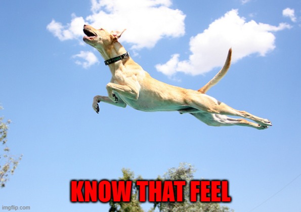 KNOW THAT FEEL | made w/ Imgflip meme maker