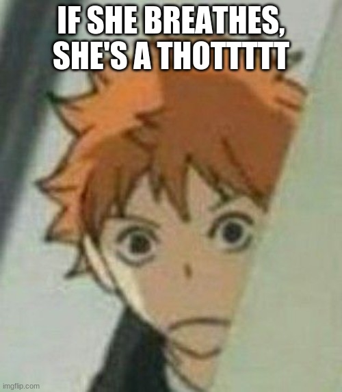 When you watch Haikyuu Hinata watches you | IF SHE BREATHES,
SHE'S A THOTTTTT | image tagged in when you watch haikyuu hinata watches you | made w/ Imgflip meme maker