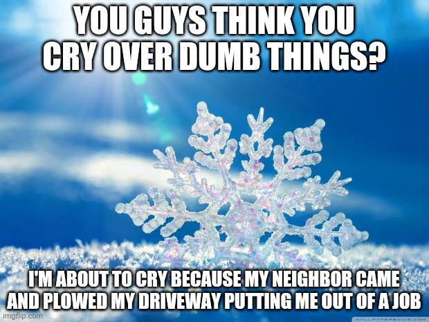 I was gonna get 20 bucks ;-; | YOU GUYS THINK YOU CRY OVER DUMB THINGS? I'M ABOUT TO CRY BECAUSE MY NEIGHBOR CAME AND PLOWED MY DRIVEWAY PUTTING ME OUT OF A JOB | image tagged in snowflake | made w/ Imgflip meme maker