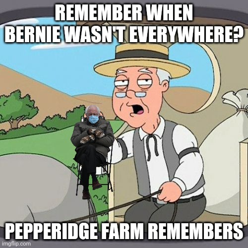 Pepperidge Farm Remembers Meme | REMEMBER WHEN BERNIE WASN'T EVERYWHERE? PEPPERIDGE FARM REMEMBERS | image tagged in memes,pepperidge farm remembers,bernie | made w/ Imgflip meme maker