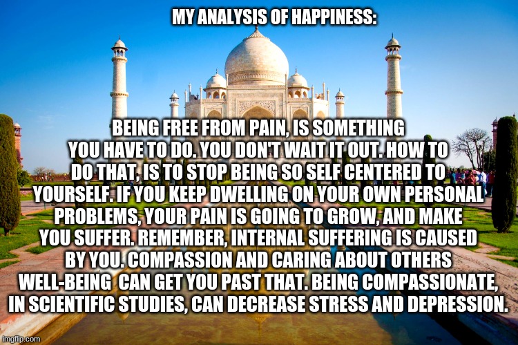 analysis #1 | MY ANALYSIS OF HAPPINESS:; BEING FREE FROM PAIN, IS SOMETHING YOU HAVE TO DO. YOU DON'T WAIT IT OUT. HOW TO DO THAT, IS TO STOP BEING SO SELF CENTERED TO YOURSELF. IF YOU KEEP DWELLING ON YOUR OWN PERSONAL PROBLEMS, YOUR PAIN IS GOING TO GROW, AND MAKE YOU SUFFER. REMEMBER, INTERNAL SUFFERING IS CAUSED BY YOU. COMPASSION AND CARING ABOUT OTHERS WELL-BEING  CAN GET YOU PAST THAT. BEING COMPASSIONATE, IN SCIENTIFIC STUDIES, CAN DECREASE STRESS AND DEPRESSION. | image tagged in happiness,taj mahal | made w/ Imgflip meme maker