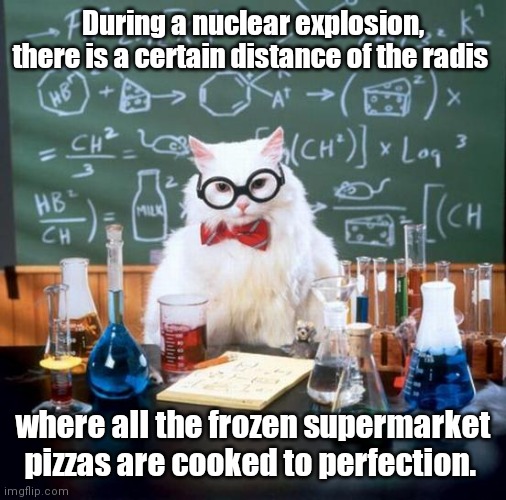Chef Ramsey would be proud. |  During a nuclear explosion, there is a certain distance of the radis; where all the frozen supermarket pizzas are cooked to perfection. | image tagged in memes,chemistry cat,funny | made w/ Imgflip meme maker