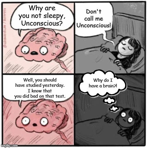Brain Before Sleep | Don't call me Unconscious! Why are you not sleepy, Unconscious? Well, you should have studied yesterday. I know that you did bad on that test. Why do I have a brain?! | image tagged in brain before sleep | made w/ Imgflip meme maker