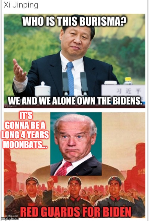 IT'S GONNA BE A LONG 4 YEARS MOONBATS... | made w/ Imgflip meme maker