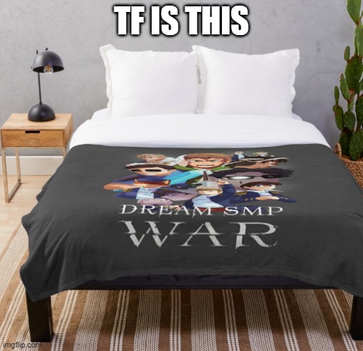 Dream SMP themed hotel room | TF IS THIS | image tagged in dream smp themed hotel room | made w/ Imgflip meme maker
