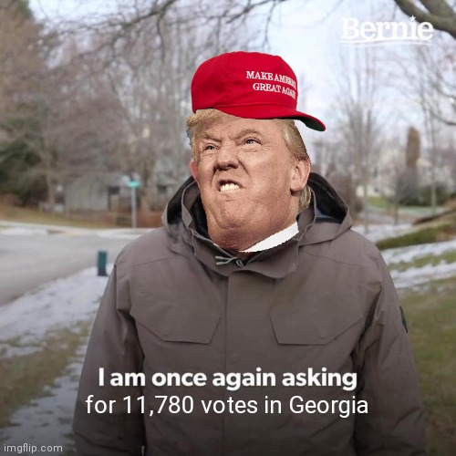 Bernie I Am Once Again Asking For Your Support Meme | for 11,780 votes in Georgia | image tagged in memes,bernie i am once again asking for your support,donald trump | made w/ Imgflip meme maker