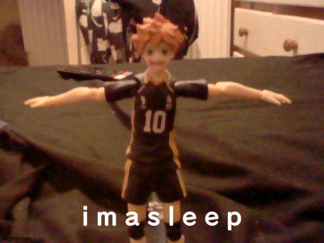 Hinata T-Pose | i m a s l e e p | image tagged in hinata t-pose | made w/ Imgflip meme maker