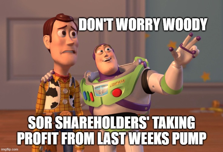 X, X Everywhere | DON'T WORRY WOODY; SOR SHAREHOLDERS' TAKING PROFIT FROM LAST WEEKS PUMP | image tagged in memes,x x everywhere | made w/ Imgflip meme maker