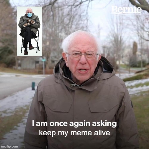 Bernie I Am Once Again Asking For Your Support | keep my meme alive | image tagged in memes,bernie i am once again asking for your support | made w/ Imgflip meme maker