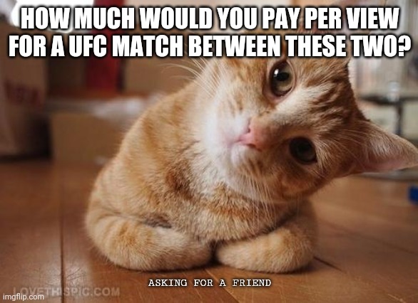 Curious Question Cat | HOW MUCH WOULD YOU PAY PER VIEW FOR A UFC MATCH BETWEEN THESE TWO? ASKING FOR A FRIEND | image tagged in curious question cat | made w/ Imgflip meme maker