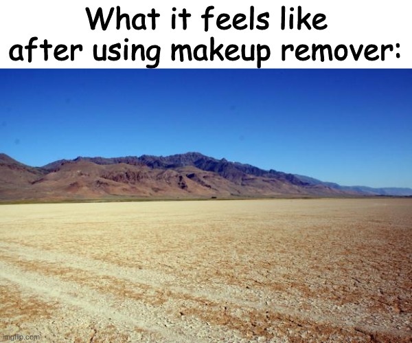 It feels like no m o i s t | What it feels like after using makeup remover: | image tagged in desert large dry | made w/ Imgflip meme maker