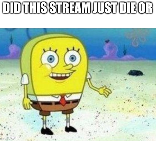 DID THIS STREAM JUST DIE OR | made w/ Imgflip meme maker