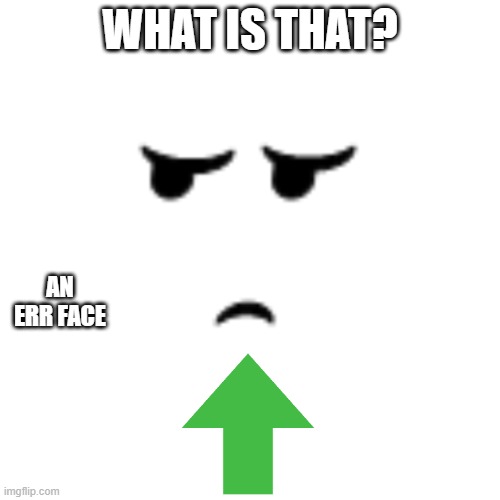 Err Face from Roblox | WHAT IS THAT? AN ERR FACE | image tagged in funny memes,roblox | made w/ Imgflip meme maker