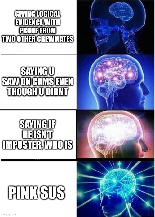Among us | GIVING LOGICAL EVIDENCE WITH PROOF FROM TWO OTHER CREWMATES; SAYING U SAW ON CAMS EVEN THOUGH U DIDNT; SAYING IF HE ISN'T IMPOSTER, WHO IS; PINK SUS | image tagged in memes,expanding brain | made w/ Imgflip meme maker