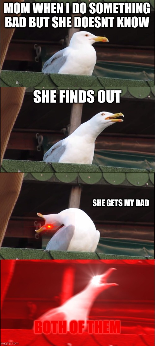 relatable? | MOM WHEN I DO SOMETHING BAD BUT SHE DOESNT KNOW; SHE FINDS OUT; SHE GETS MY DAD; BOTH OF THEM | image tagged in memes,inhaling seagull | made w/ Imgflip meme maker