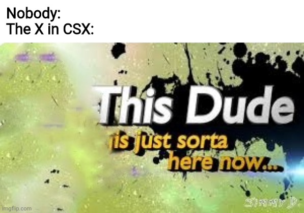 this dude is just sorta here now | Nobody:
The X in CSX: | image tagged in this dude is just sorta here now | made w/ Imgflip meme maker
