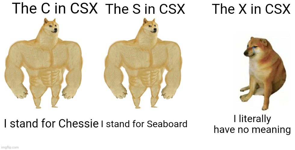 I just googled it, the full abbreviation is "Chessie Seaboard Consolidated." The X literally has no meaning. | The C in CSX; The S in CSX; The X in CSX; I stand for Seaboard; I literally have no meaning; I stand for Chessie | image tagged in memes,buff doge vs cheems | made w/ Imgflip meme maker