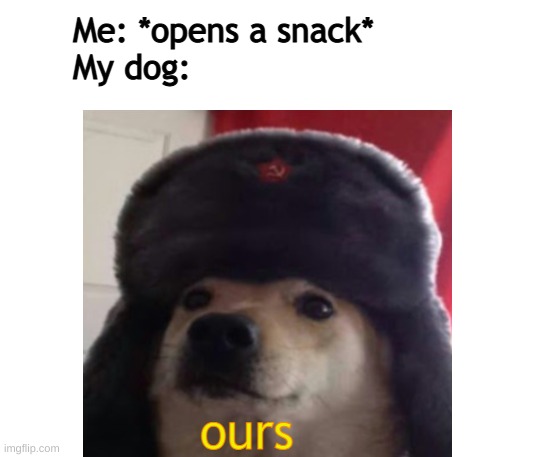  Me: *opens a snack*
My dog:; ours | image tagged in communism,doggo,communist dog | made w/ Imgflip meme maker