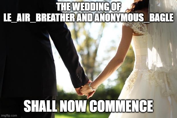 wedding | THE WEDDING OF LE_AIR_BREATHER AND ANONYMOUS_BAGLE; SHALL NOW COMMENCE | image tagged in wedding | made w/ Imgflip meme maker