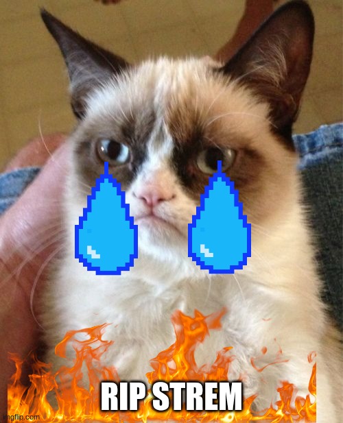 Grumpy Cat | RIP STREM | image tagged in memes,grumpy cat | made w/ Imgflip meme maker