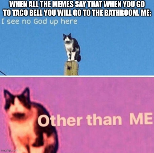 Hail pole cat | WHEN ALL THE MEMES SAY THAT WHEN YOU GO TO TACO BELL YOU WILL GO TO THE BATHROOM. ME: | image tagged in hail pole cat | made w/ Imgflip meme maker