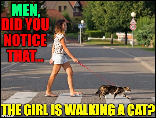 What Cat? | MEN, MEN, DID YOU
NOTICE THAT... THE GIRL IS WALKING A CAT? | image tagged in vince vance,girls,cats,dogs,memes,walking the dog | made w/ Imgflip meme maker