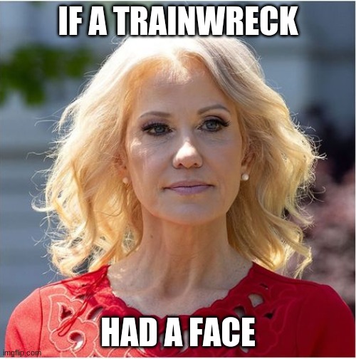 Trainwreck |  IF A TRAINWRECK; HAD A FACE | image tagged in kellyanne conway | made w/ Imgflip meme maker