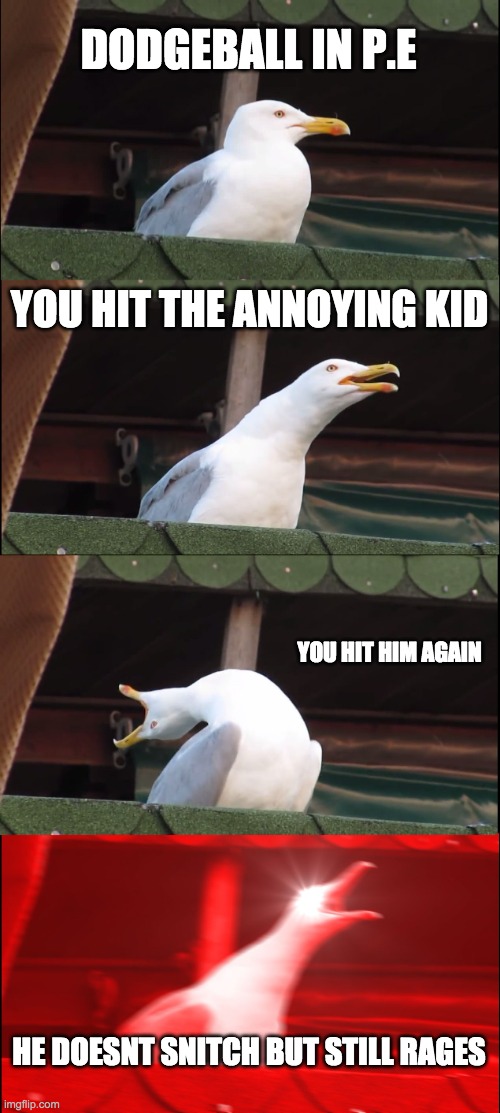 dodgeball | DODGEBALL IN P.E; YOU HIT THE ANNOYING KID; YOU HIT HIM AGAIN; HE DOESNT SNITCH BUT STILL RAGES | image tagged in memes,inhaling seagull | made w/ Imgflip meme maker