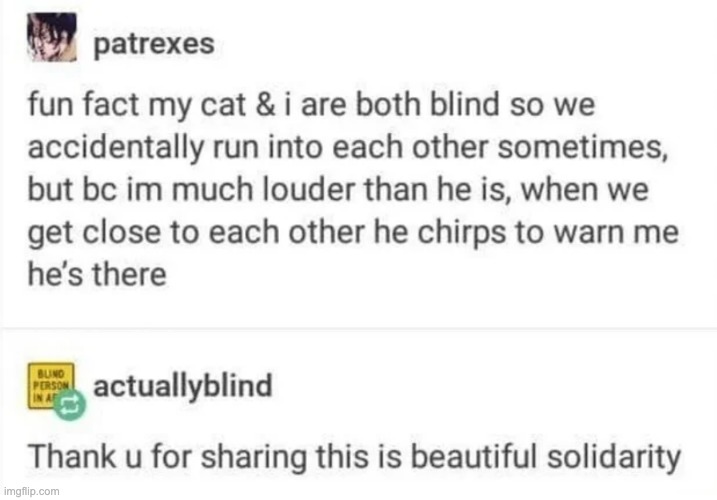 blind people experience the internet through text-to-speech if anyone asks | made w/ Imgflip meme maker