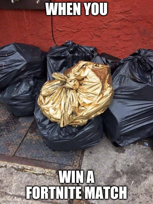 Golden Trash Bag | WHEN YOU; WIN A FORTNITE MATCH | image tagged in golden trash bag | made w/ Imgflip meme maker