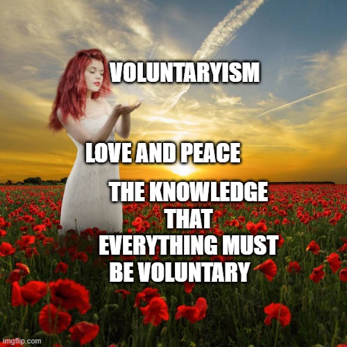 when you're above ego despite your looks | VOLUNTARYISM                                                        LOVE AND PEACE; THE KNOWLEDGE THAT EVERYTHING MUST BE VOLUNTARY | image tagged in when you're above ego despite your looks | made w/ Imgflip meme maker