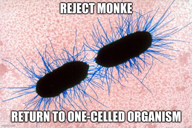 REJECT MONKE; RETURN TO ONE-CELLED ORGANISM | made w/ Imgflip meme maker