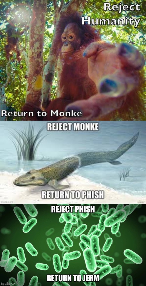 the evolutionary ladder | image tagged in memes,funny,evolution,interesting,oh okay | made w/ Imgflip meme maker