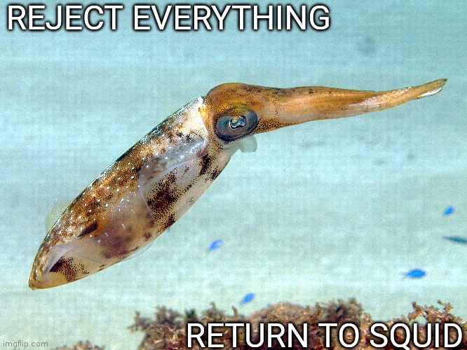 Squid | REJECT EVERYTHING; RETURN TO SQUID | made w/ Imgflip meme maker