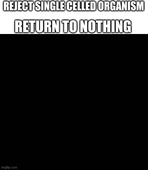 RETURN TO NOTHING; REJECT SINGLE CELLED ORGANISM | image tagged in funny,memes | made w/ Imgflip meme maker
