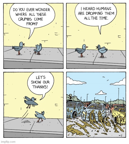 Pigeon talk... | image tagged in comics/cartoons,comics,pigeons | made w/ Imgflip meme maker