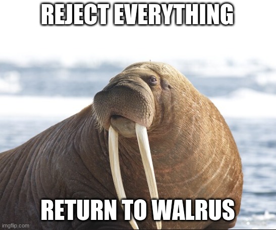 REJECT EVERYTHING; RETURN TO WALRUS | image tagged in haha,lmao,funny,memes | made w/ Imgflip meme maker