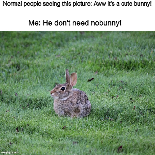 My mom asked me to make this meme for her- | Normal people seeing this picture: Aww it's a cute bunny! Me: He don't need nobunny! | made w/ Imgflip meme maker