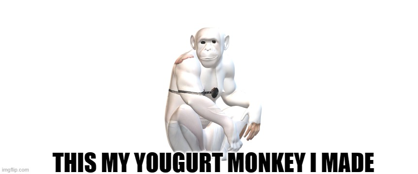 ygort monkey | THIS MY YOUGURT MONKEY I MADE | image tagged in youfurt | made w/ Imgflip meme maker