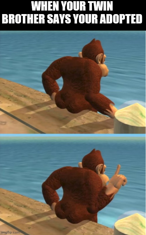 Donkey Kong | WHEN YOUR TWIN BROTHER SAYS YOUR ADOPTED | image tagged in donkey kong | made w/ Imgflip meme maker