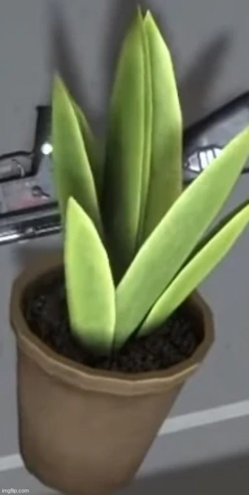 why is there an MP5 right behind the plant pot | made w/ Imgflip meme maker