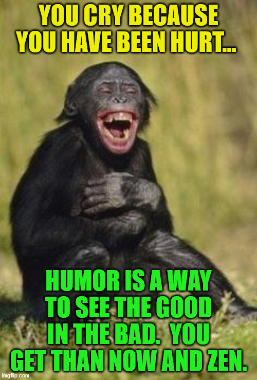 Laughing monkey | YOU CRY BECAUSE YOU HAVE BEEN HURT... HUMOR IS A WAY TO SEE THE GOOD IN THE BAD.  YOU GET THAN NOW AND ZEN. | image tagged in laughing monkey | made w/ Imgflip meme maker