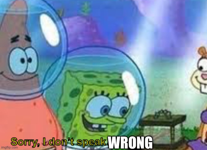 Sorry, I don’t speak sheep | WRONG | image tagged in sorry i don t speak sheep | made w/ Imgflip meme maker