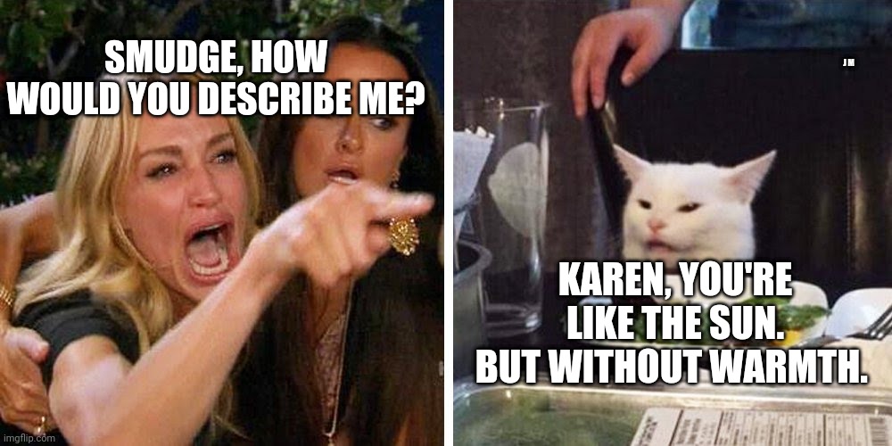 Smudge the cat | SMUDGE, HOW WOULD YOU DESCRIBE ME? J M; KAREN, YOU'RE LIKE THE SUN. BUT WITHOUT WARMTH. | image tagged in smudge the cat | made w/ Imgflip meme maker