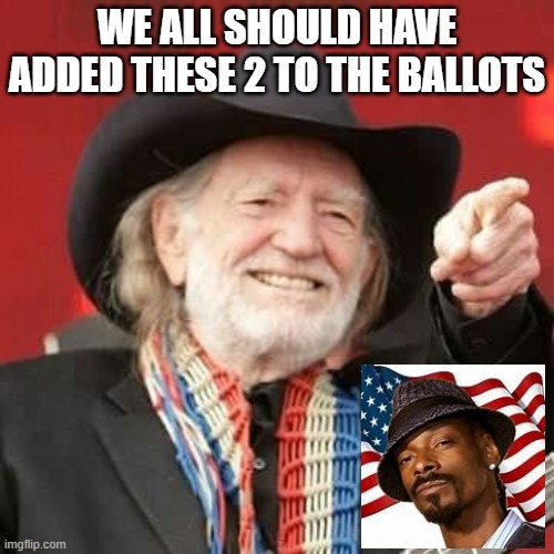 fun | WE ALL SHOULD HAVE ADDED THESE 2 TO THE BALLOTS | image tagged in politics | made w/ Imgflip meme maker
