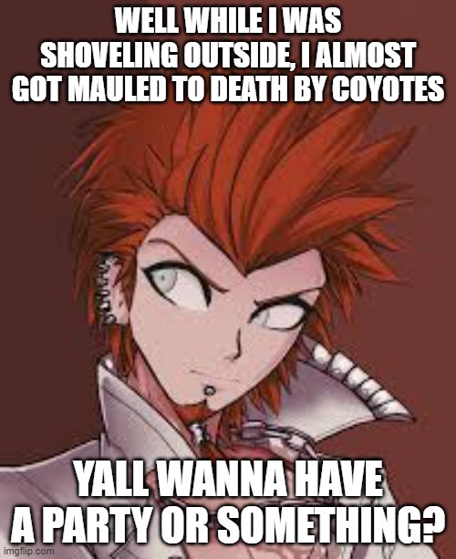 WELL WHILE I WAS SHOVELING OUTSIDE, I ALMOST GOT MAULED TO DEATH BY COYOTES; YALL WANNA HAVE A PARTY OR SOMETHING? | made w/ Imgflip meme maker
