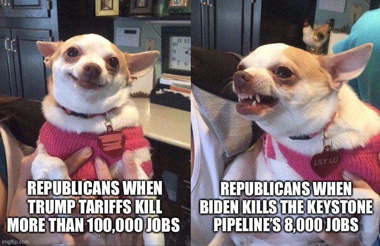 Here's an idea: Maybe NEITHER party should be killing jobs. | REPUBLICANS WHEN TRUMP TARIFFS KILL MORE THAN 100,000 JOBS; REPUBLICANS WHEN BIDEN KILLS THE KEYSTONE PIPELINE’S 8,000 JOBS | image tagged in smiling dog angry dog | made w/ Imgflip meme maker