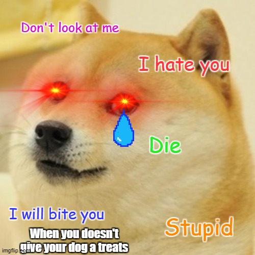 Hungry doge | Don't look at me; I hate you; Die; I will bite you; Stupid; When you doesn't give your dog a treats | image tagged in doge,hungry,sad,mad | made w/ Imgflip meme maker