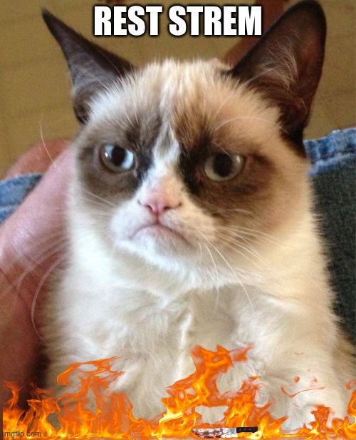 Grumpy Cat Meme | REST STREM | image tagged in memes,grumpy cat | made w/ Imgflip meme maker